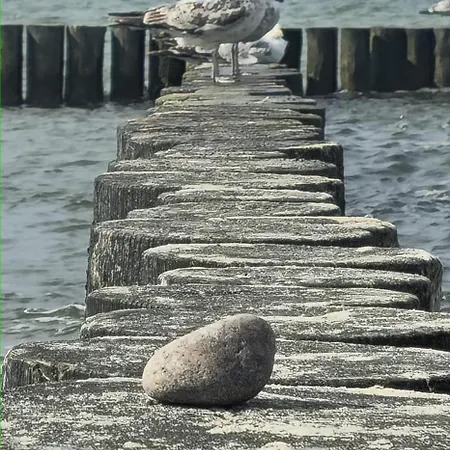 Alojamento de Turismo Selvagem Rybacka *